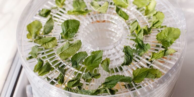 50 Foods to Dehydrate for Your Stockpile