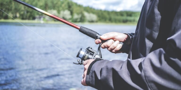 6 Ways to Catch Fish in an Emergency