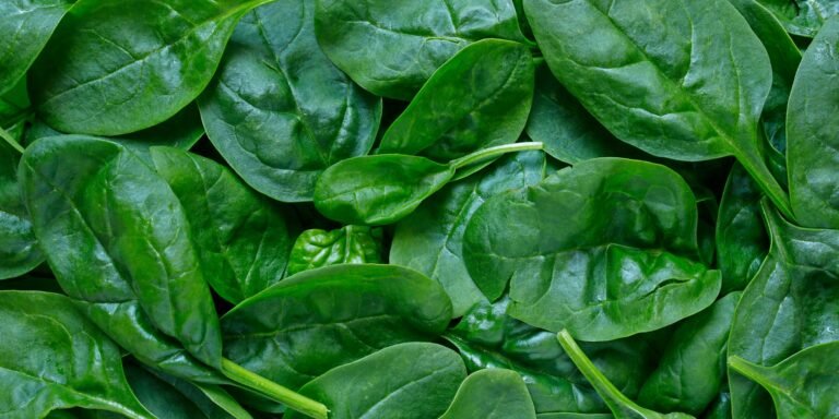 How To Dehydrate And Store Spinach Long Term