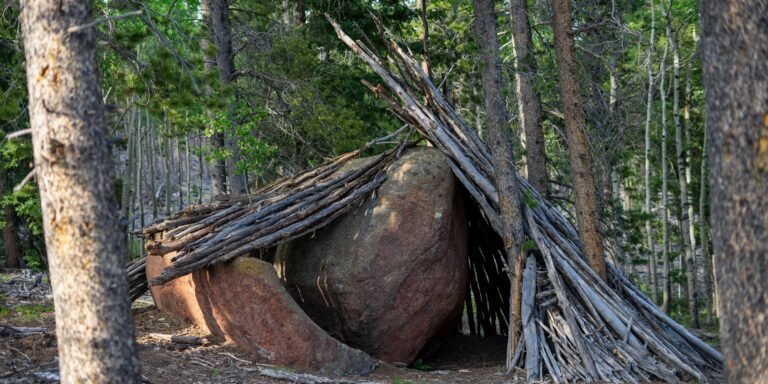 How To Build A Permanent Shelter In The Wilderness