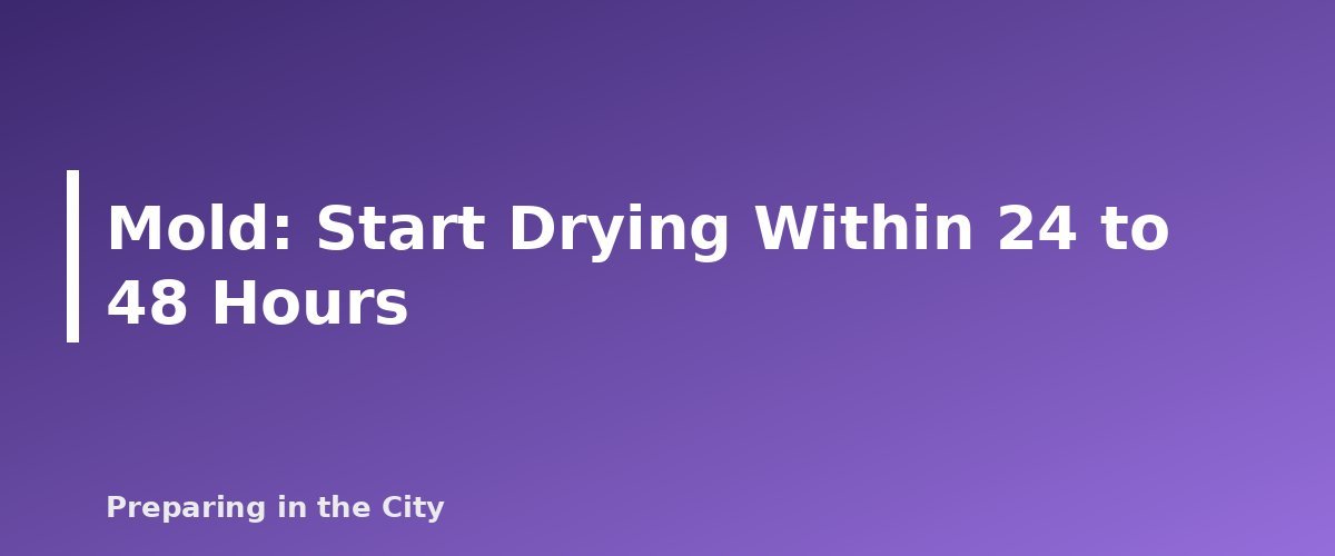 Mold: Start Drying Within 24 to 48 Hours - section banner for After a Hurricane