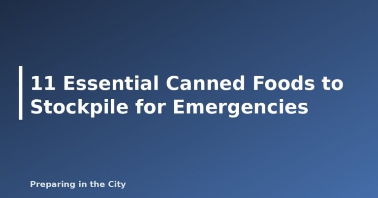 11 Essential Canned Foods to Stockpile for Emergencies - featured image