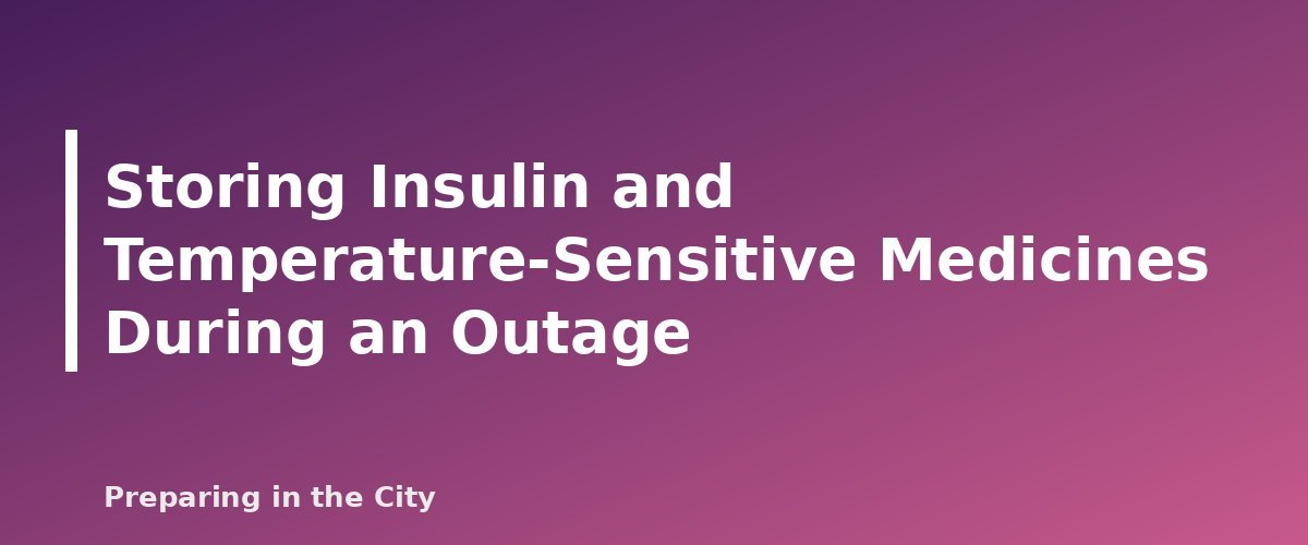 Storing Insulin and Temperature-Sensitive Medicines During an Outage - section banner for Emergency Medication Plan