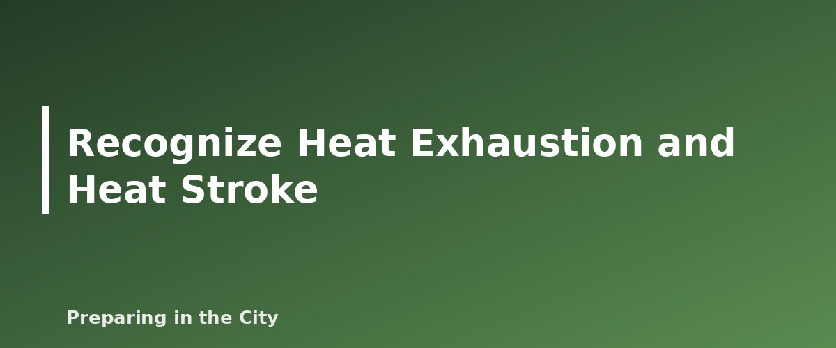 Recognize Heat Exhaustion and Heat Stroke - illustration for Extreme Heat Safety: How to Stay Cool During a Heat Wave and Outage