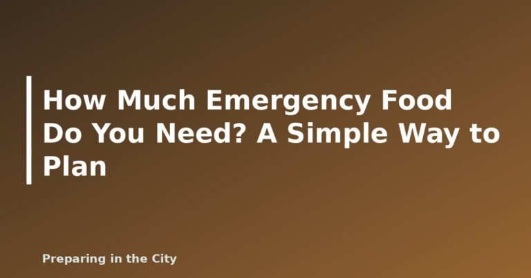How Much Emergency Food Do You Need? A Simple Way to Plan - featured image