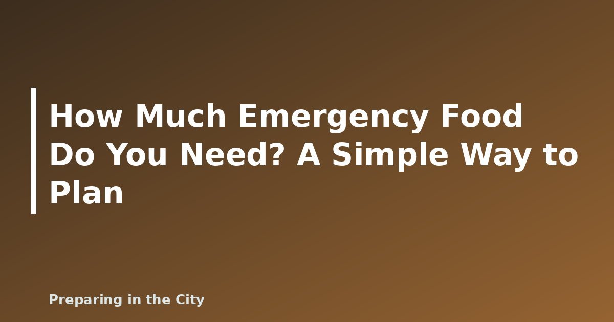 How Much Emergency Food Do You Need? A Simple Way to Plan - featured image