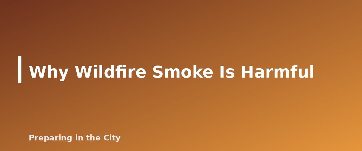 Why Wildfire Smoke Is Harmful - section banner for Wildfire Smoke in an Apartment